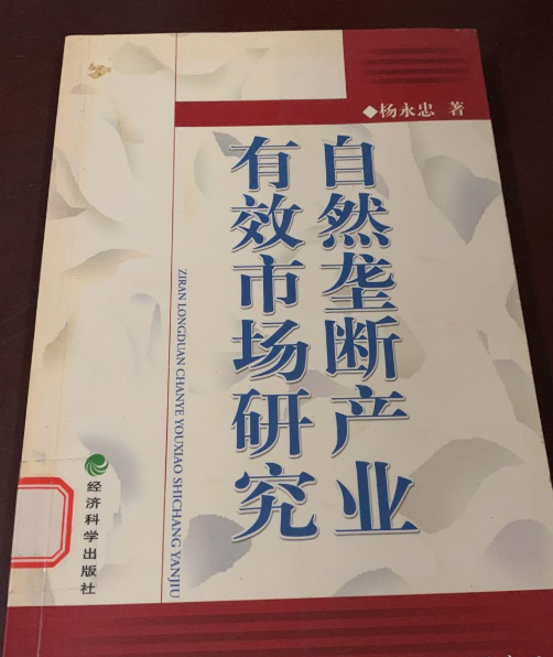 自然垄断产业有效市场研究