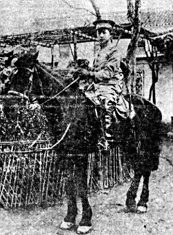 概述图册