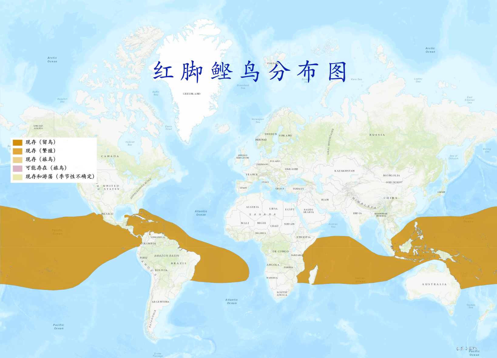  p>红脚鲣鸟(学名: i>sula sula /i>):体长约为68-75厘米.