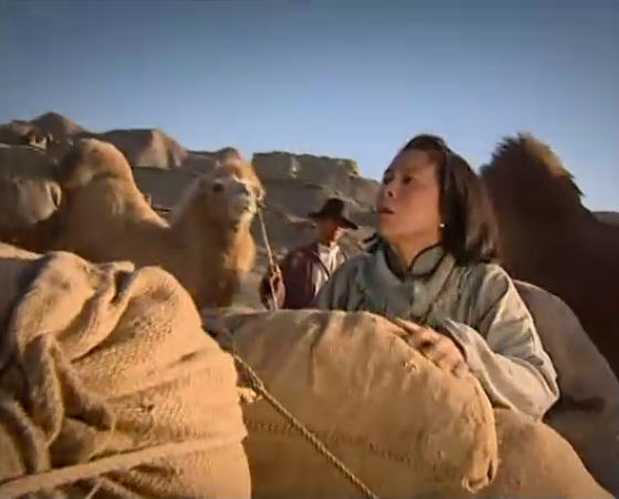  p>《戈壁母亲》是由 a href="#" data-lemmaid="8858198">沈好放 /a>