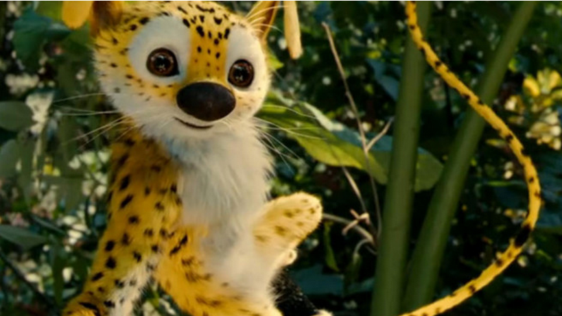 追踪长尾豹马修