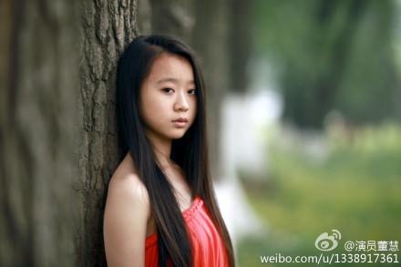 董慧