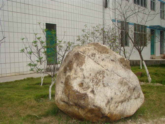 河池市大化瑶族自治县高级中学