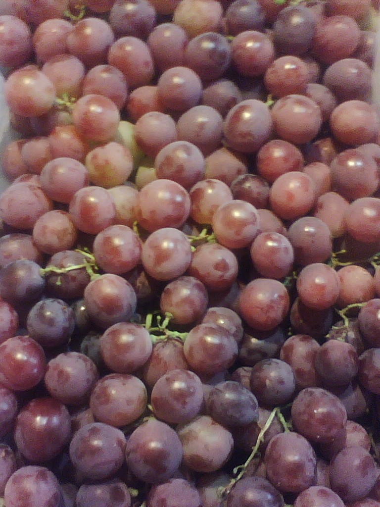 美国珍珠无核小红提