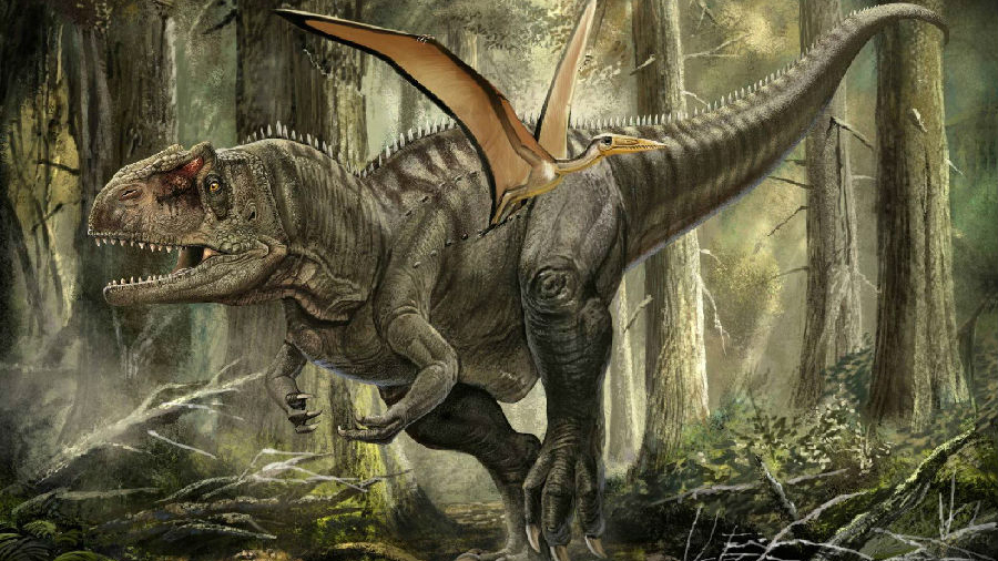 角鼻龙(ceratosaurus)