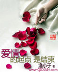 爱情的起点是结束