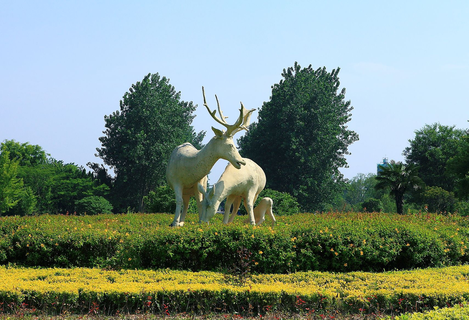 江苏大丰麋鹿国家级自然保护区