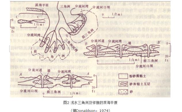  p>三角洲环境内形成的一套有成因联系的沉积相组合.