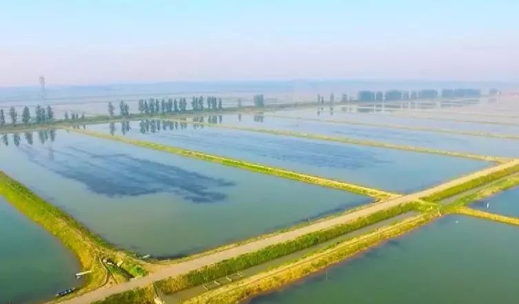  p>浩口镇,隶属于湖北省潜江市,地处 a target="_blank" href="/item