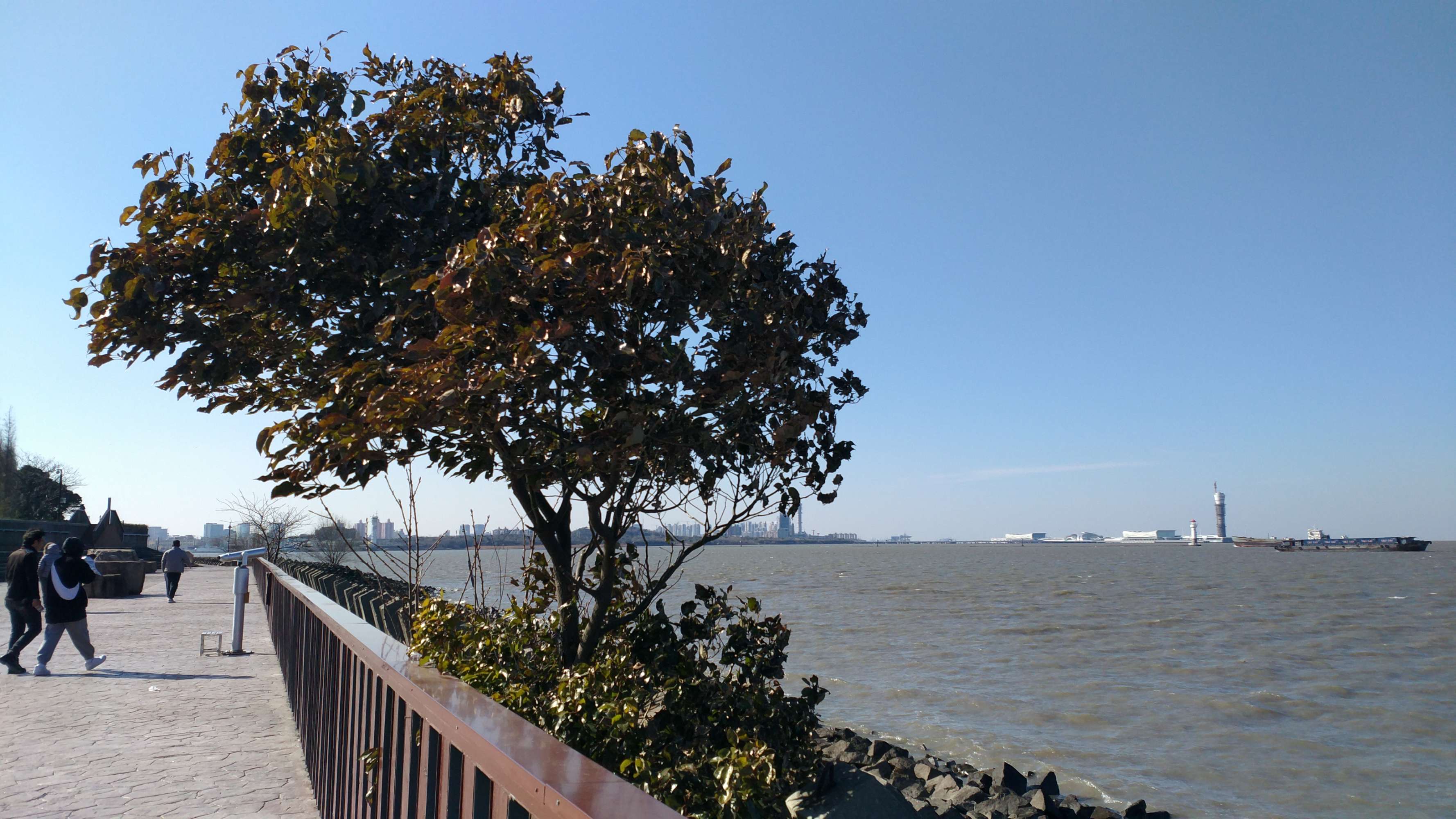 上海滨江森林公园