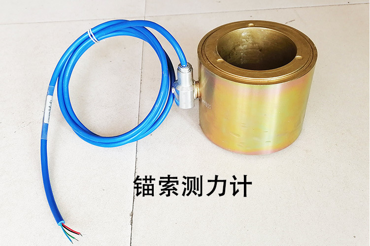  p data-id="gnazwwve86">锚索测力计是用于长期监测水工结构物及其它