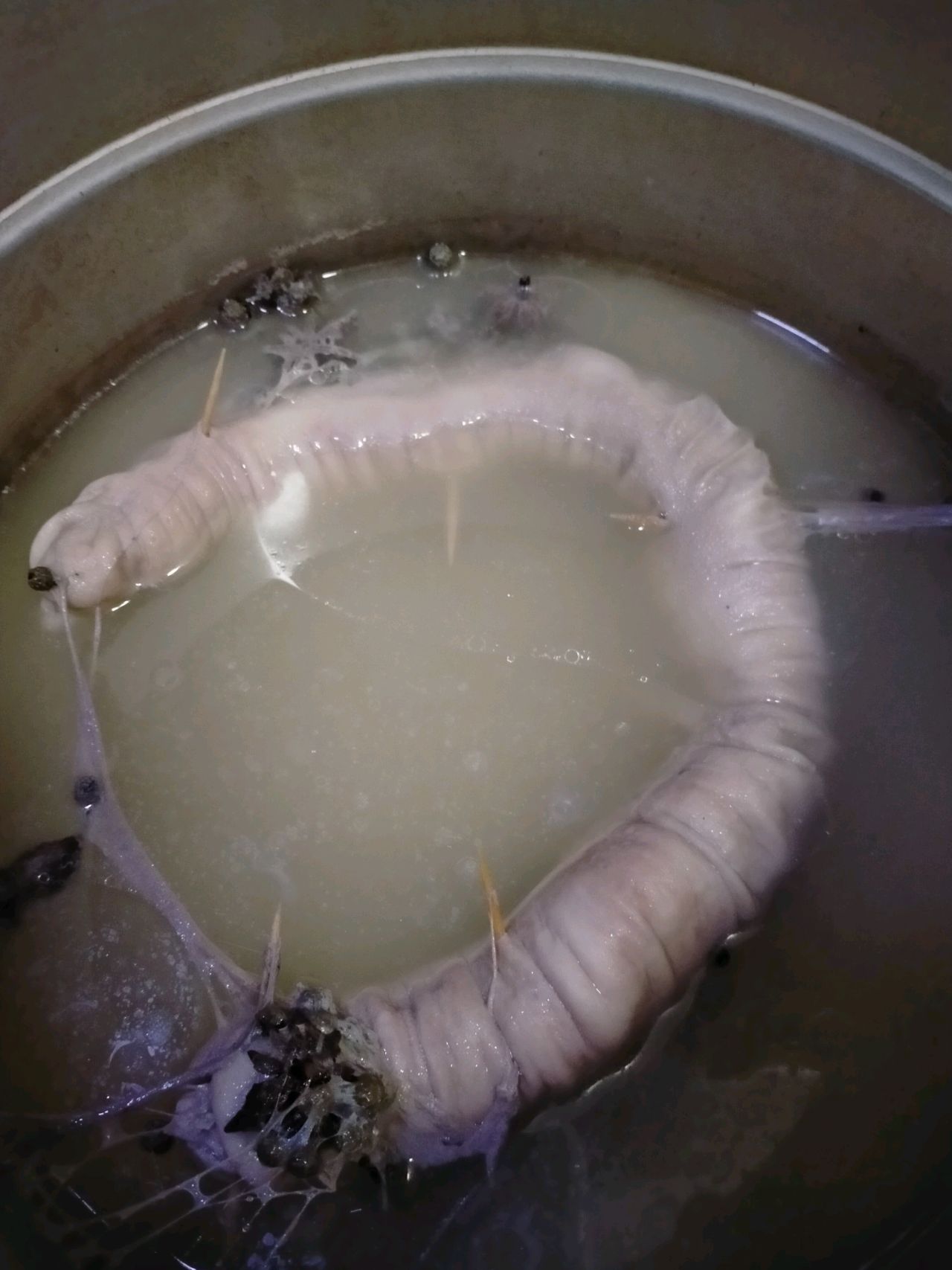 braised intestines in brown sauce