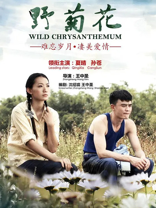 《野菊花》是由康家祥执导,赵思源,张爱丽