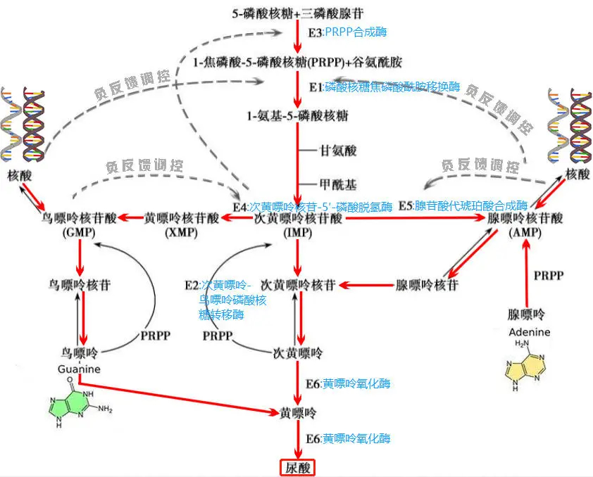 这种病痛堪比生娃，致病因子中80%来自自身_百科TA说