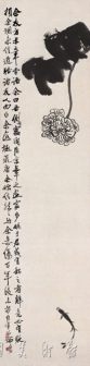 芙蓉小鱼
