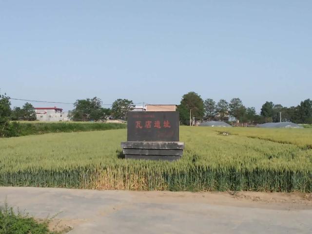 data-lemmaid="59474">河南省 /a>禹州市瓦店村东部和西北部的台地上