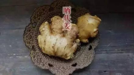 晒伏姜