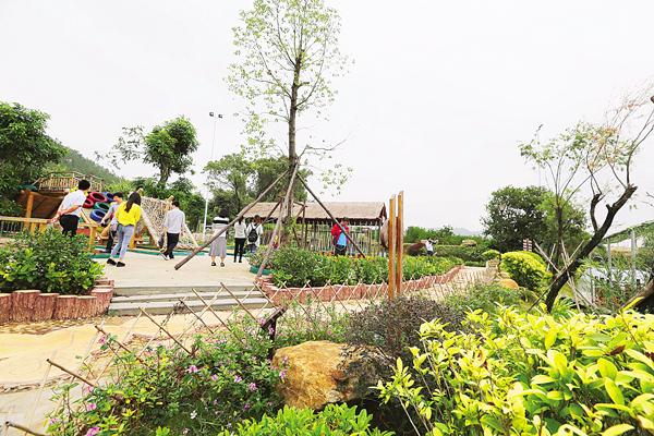 山东大雁岛生态园