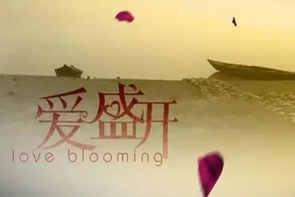 爱盛开