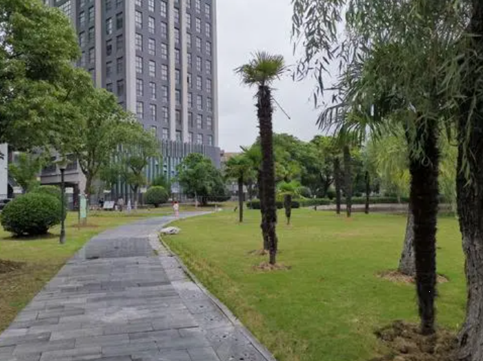  p data-id="go00hmgjqu">新闸街道,隶属于江苏省常州市 a target="