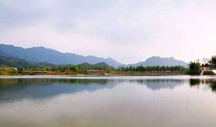 <p>杭川镇风景