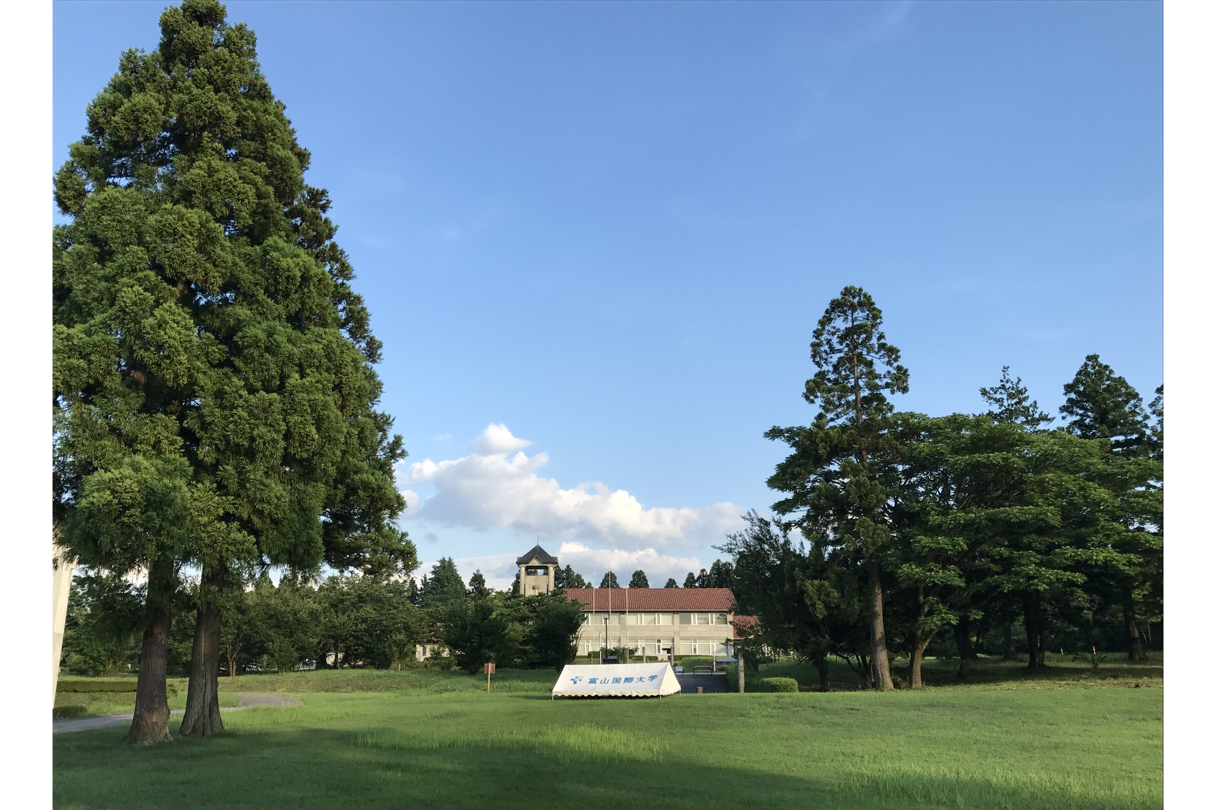 富山国际大学