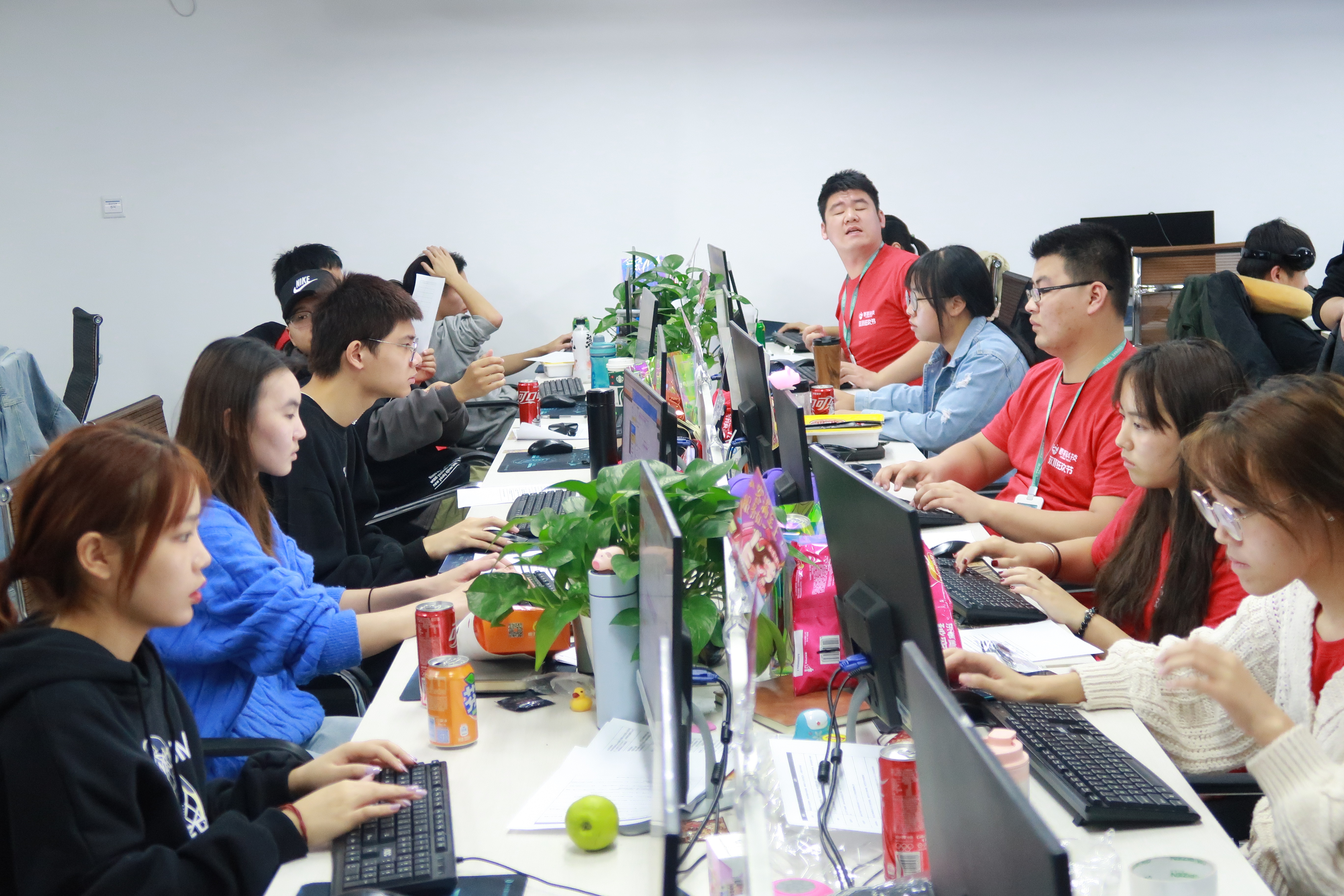 杭州SEO编辑员 全网资源