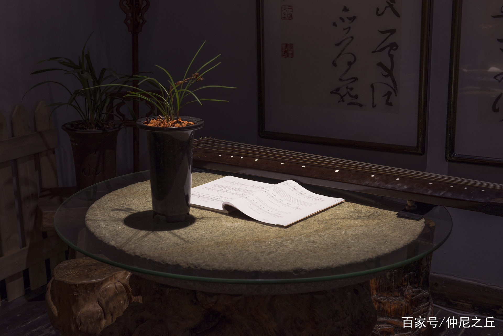 中国盆景の世界 第2巻 花盆