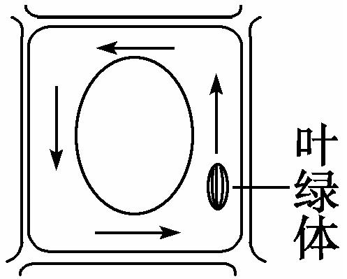  a target="_blank" href="/item/细胞质/602010" data-lemmaid="