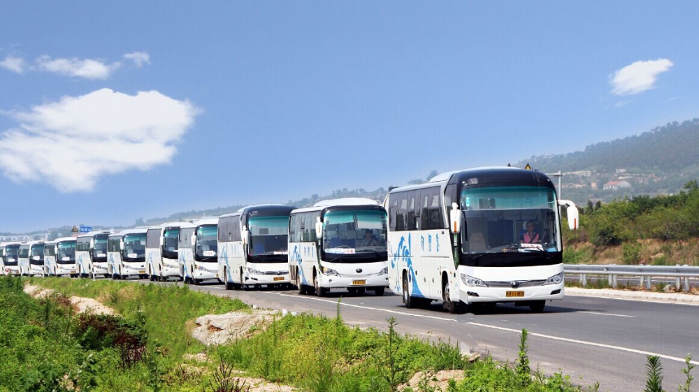 青岛凤凰岛出行服务有限公司