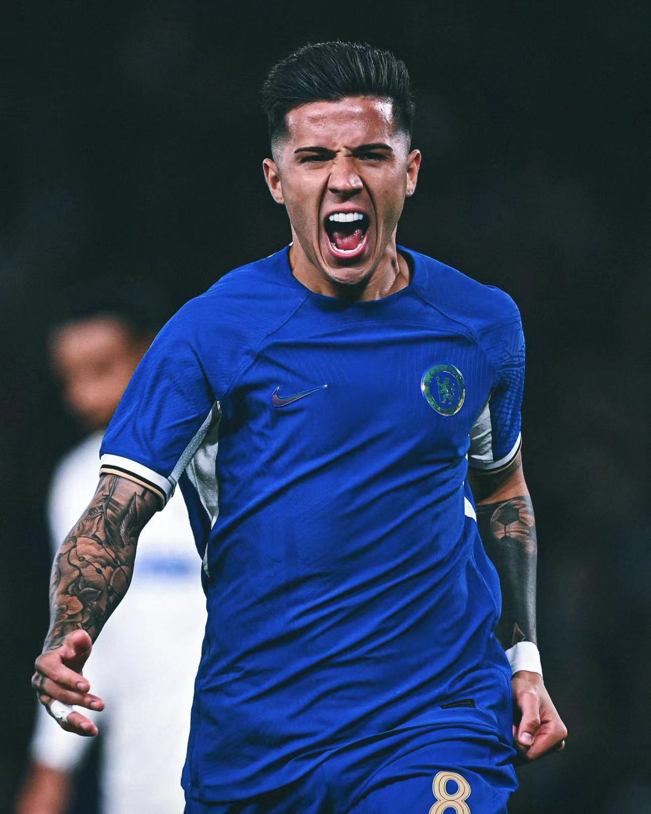 恩佐·费尔南德斯