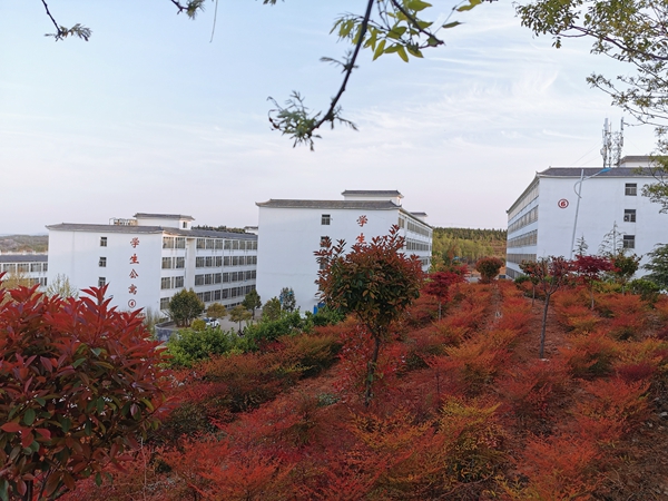 嵩山少林武术职业学院