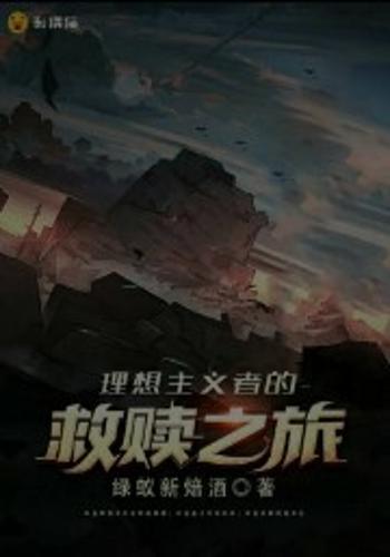 理想主义者的救赎之旅