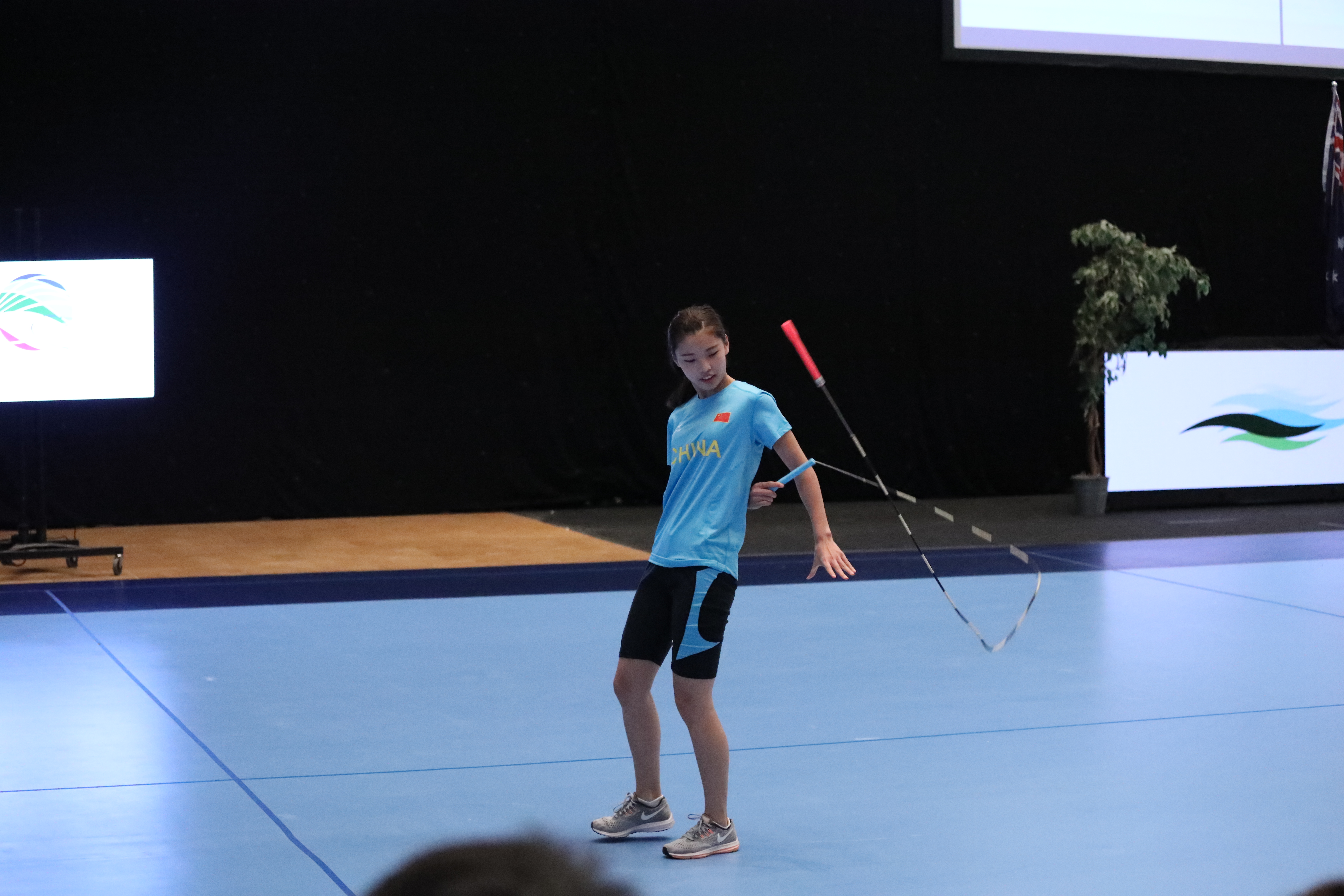  p data-id="gnb3t09wgl">杜婷婷,2018年世界跳绳锦标赛中女子30秒单