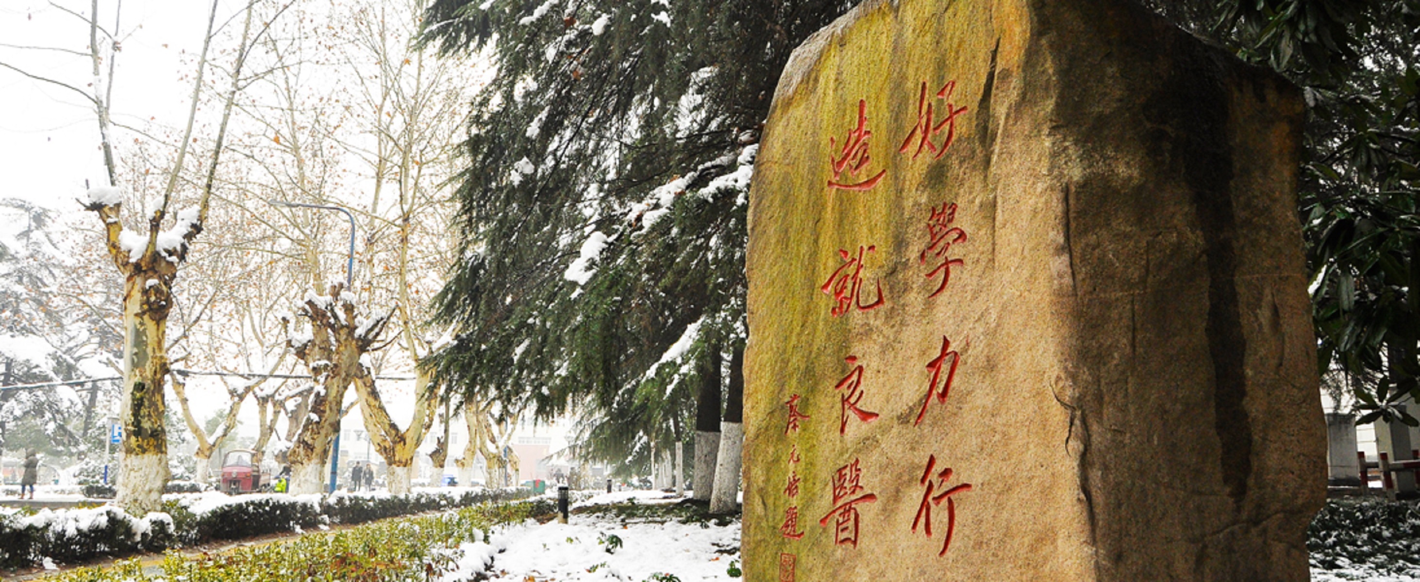  p>安徽医科大学(anhui medical university)简称"安医大",位于安徽