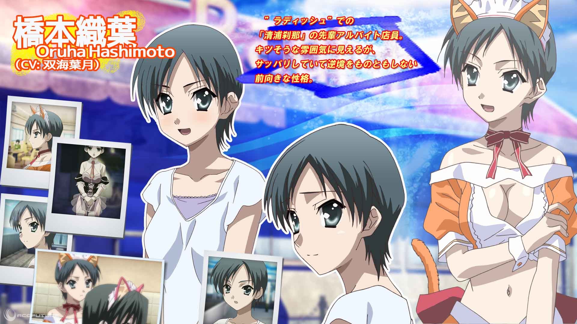 ズ》),是日本overflow公司于2012年4月27日推出的其系列作中《summer