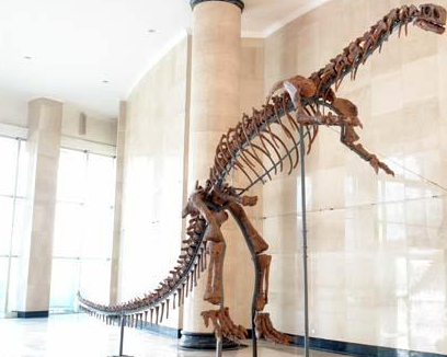 易门龙(yimenosaurus)