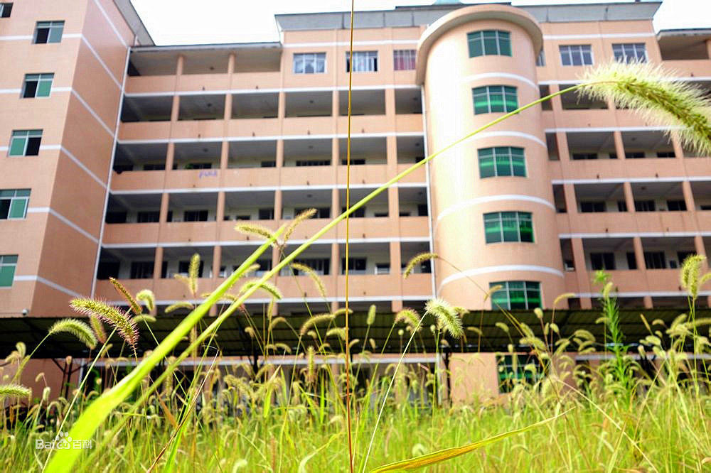 middle school,简称攸县一中)是 a target="_blank" href="/item/湖南