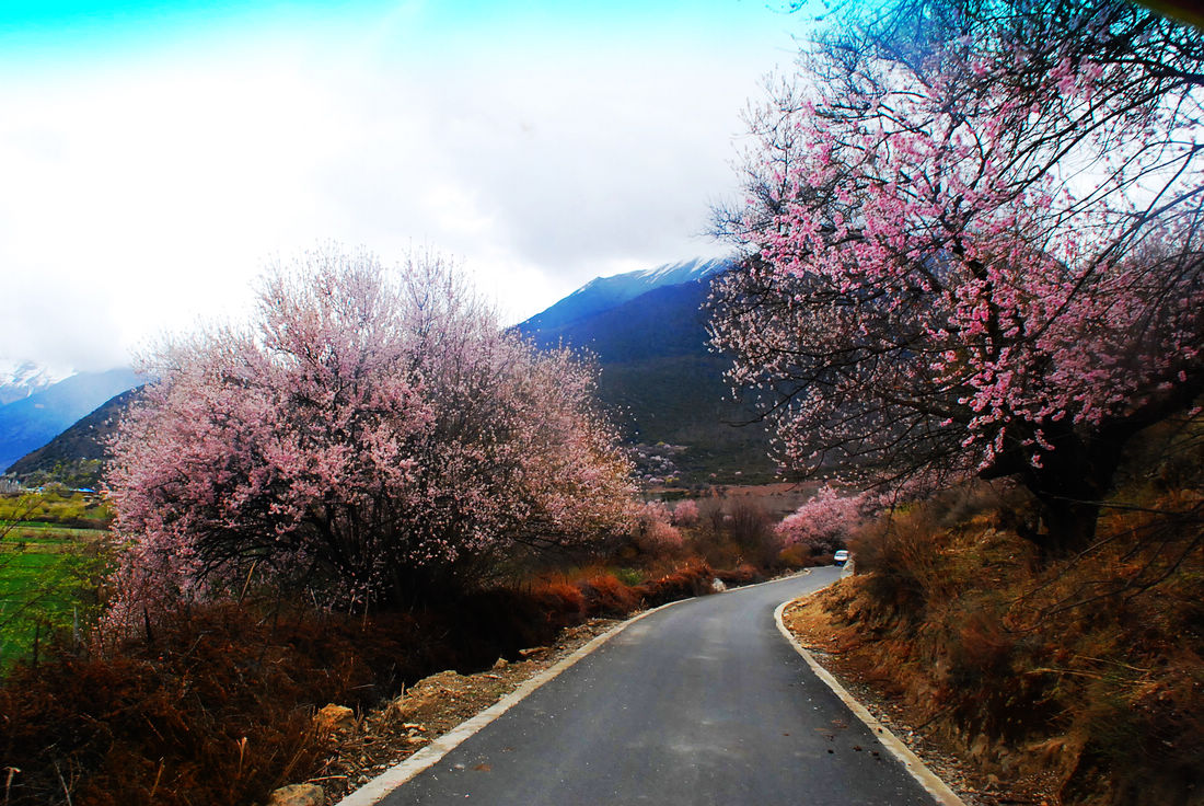 雅鲁藏布大峡谷