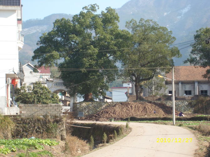 data-lemmaid="4435628">石泉村 /a>,位于浙江省杭州市建德市寿昌镇