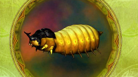  p data-id="gnwg44n3mi">金蚕蛊是来源于民间传说,将多种毒虫一起