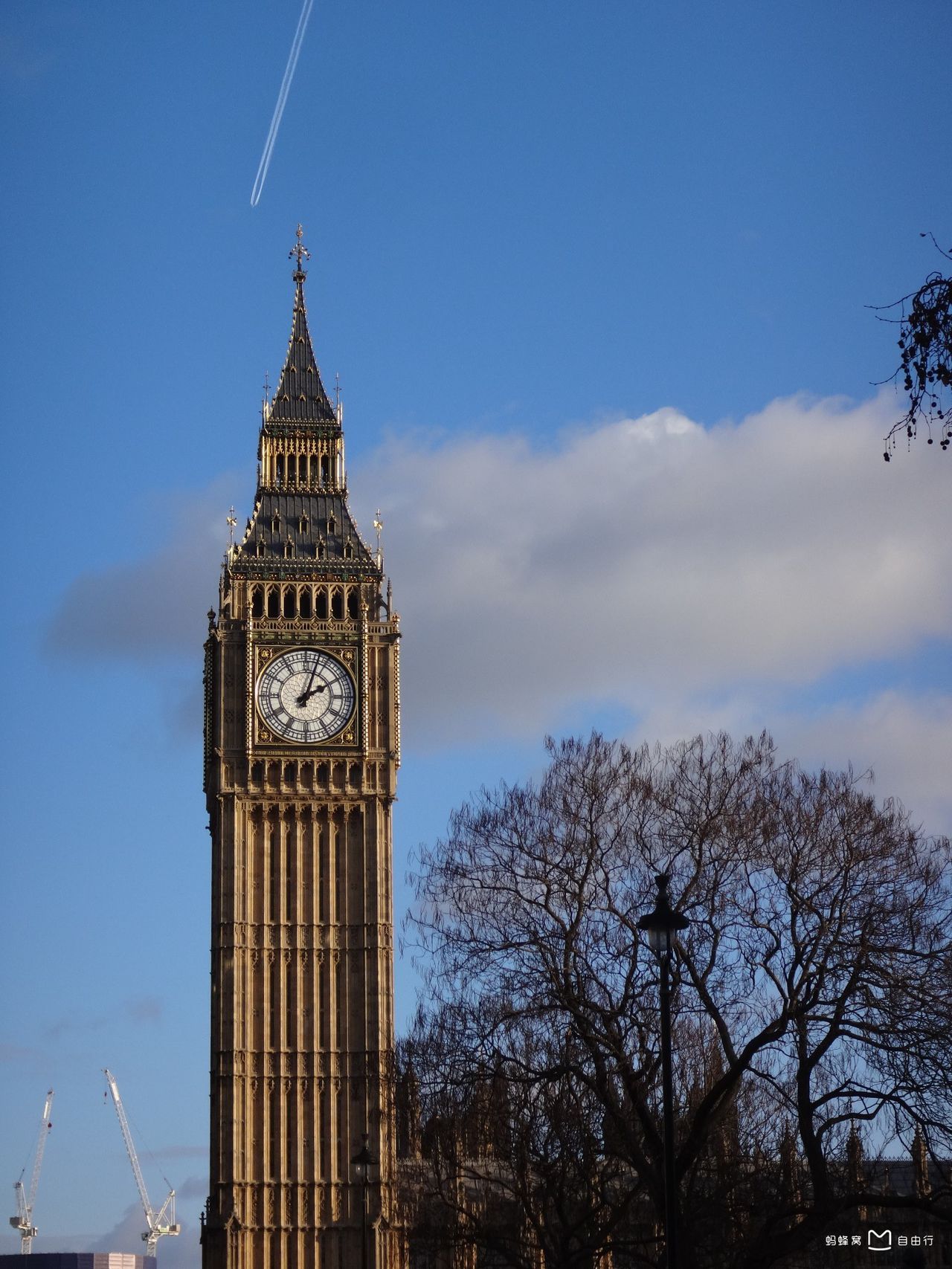 p>伊丽莎白塔(the elizabeth tower),旧称钟塔(the clock tower)