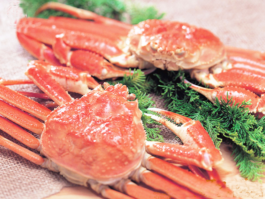 俗名:雪蟹,皮匠蟹(美国),皇后蟹(加拿大和欧洲)(snow crab,queen crab