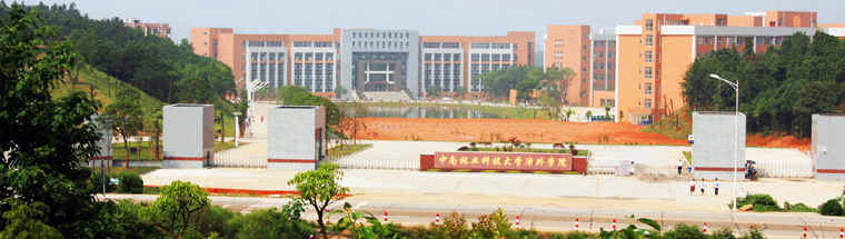 中南科技大学涉外学院