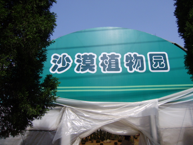 沙漠植物园