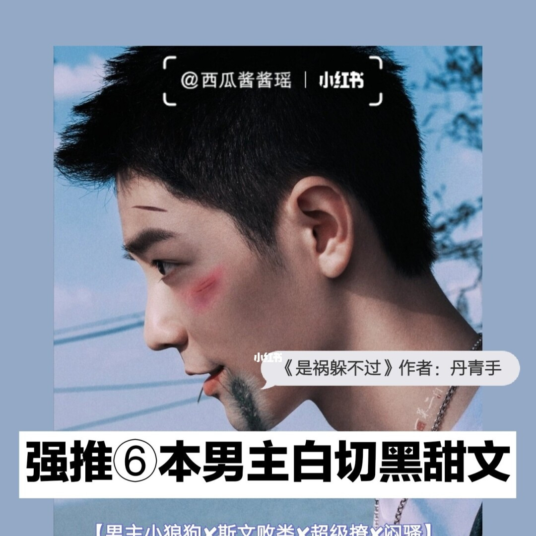 白切黑_百度百科