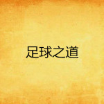[体育运动]【补档】《足球之道》（校对全本）作者：不如踢球【TXT】【三石校对】
