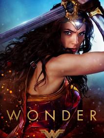 盖尔·加朵版神奇女侠