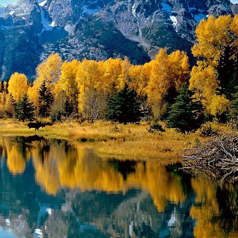 精美世界风景图集_百度百科