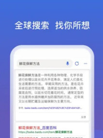 移动端微软必应中的截图预览1